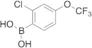 (2-Chloro-4-trifluoromethoxyphenyl)boronic Acid