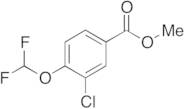 3-Chloro-4-(difluoromethoxy)benzoic Acid Methyl Ester