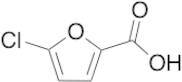 5-Chlorofuran-2-carboxylic Acid