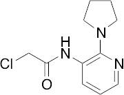 2-Chloro-N-[2-(pyrrolidin-1-yl)pyridin-3-yl]acetamide