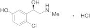 (R)-6-Chloro Phenylephrine Hydrochloride