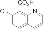 7-Chloro-8-quinolinecarboxylic acid