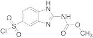 N-[6-(chlorosulfonyl)-1H-benzimidazol-2-yl]-Carbamic acid methyl ester