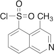 5-Chlorosulfonyl-4-methylisoquinoline