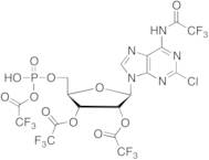 2-Chloro-N-trifluoroacetyl-2’,3’-ditrifluoracetly-5’-adenylic Acid Trifluoroacetyl Ester