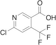 6-Chloro-4-trifluoromethylnicotinic Acid