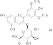 3-(((2S,3R,4S,5S,6S)-6-Carboxy-3,4,5-trihydroxytetrahydro-2H-pyran-2-yl)oxy)-5,7-dihydroxy-2-(4-hy…