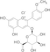 3-(((2S,3R,4S,5S,6S)-6-Carboxy-3,4,5-trihydroxytetrahydro-2H-pyran-2-yl)oxy)-5,7-dihydroxy-2-(4-hy…