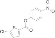 5-Chloro-2-Thiophenecarboxylic Acid 4-Nitrophenyl Ester