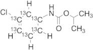Chlorpropham-13C6