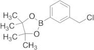 3-Chloromethylphenylboronic Acid Pinacol Ester