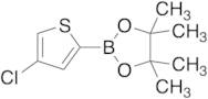4-Chlorothiophen-2-boronic acid, pinacol ester