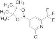 2-Chloro-4-(4,4,5,5-tetramethyl-1,3,2-dioxaborolan-2-yl)-6-(trifluoromethyl)pyridine