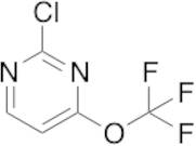 2-Chloro-4-(trifluoromethoxy)pyrimidine