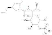 Clindamycin 2-Phosphate