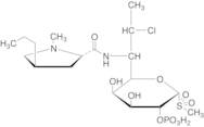 Clindamycin 2-Phosphate Sulfone