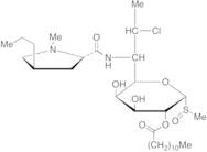 Clindamycin Laurate