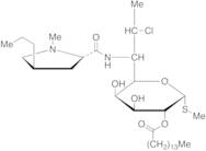 Clindamycin Pentadecanoate