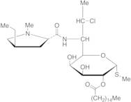 Clindamycin B Palmitate