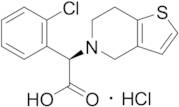 (R)- Clopidogrel Carboxylic Acid Hydrochloride