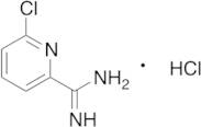 6-Chloro-2-pyridinecarboximidamide Hydrochloride