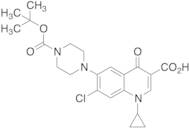 7-Chloro-1-cyclopropyl-4-oxo-6-(4-Boc-piperazin-1-yl)-1,4-dihydroquinoline-3-carboxylic Acid