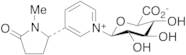 Cotinine N-β-D-Glucuronide