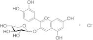 Cyanidin 3-Xyloside