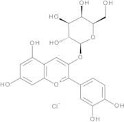 Cyanidin 3-O-b-D-Galactopyranoside Chloride