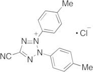 5-Cyano-2,3-di-p-tolyltetrazolium Chloride