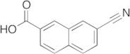 7-Cyanonaphthalene-2-carboxylic Acid