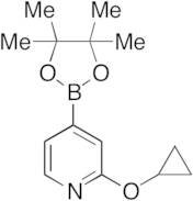 2-Cyclopropyloxypyridine 4-pinacolboronate