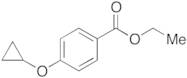 4-Cyclopropyloxybenzoic Acid Ethyl Ester