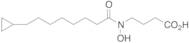 N-(9-Cyclopropyl-1-oxononyl)-N-hydroxy-beta-alanine