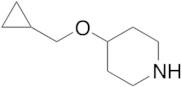 4-(Cyclopropylmethoxy)piperidine