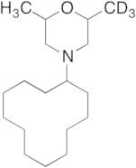 4-Cyclododecyl-2-methyl-6-(d3)methylmorpholine
