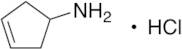 Cyclopent-3-en-1-amine Hydrochloride