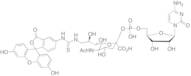 CMP-9-fluoresceinyl-NeuAc