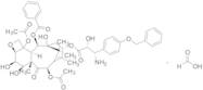 N-Debenzoyl-3’-p-O-benzyl-6α-hydroxy Paclitaxel Formic Acid