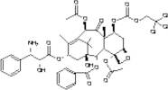 N-Debenzoyl-7-{[(2,2,2,-trichloroethyl)oxy]carbonyl} Paclitaxel