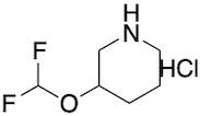 3-(difluoromethoxy)piperidine hydrochloride