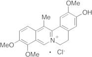 Dehydrocorybulbine Chloride Salt