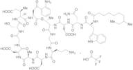 N-Desdecanoyl, N-(8-Me-decanoyl) Daptomycin