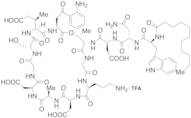 N-Desdecanoyl, N-(Undecanoyl) Daptomycin