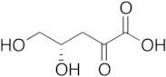 3-Deoxy-D-pentulosonic Acid