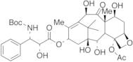 Desbenzoyl Docetaxel