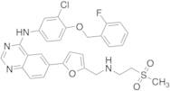 3-Desfluoro 2-Fluoro Lapatinib