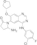 Des-(4-dimethylamino-2-en-1-oxo)butylamino 6-(5-Amino-pyrrolidin-2-on-1-yl) Afatinib