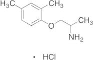 6-Demethyl 4-Methyl Mexiletine Hydrochloride