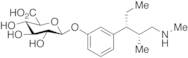 N-Desmethyl Tapentadol O-β-D-Glucuronide